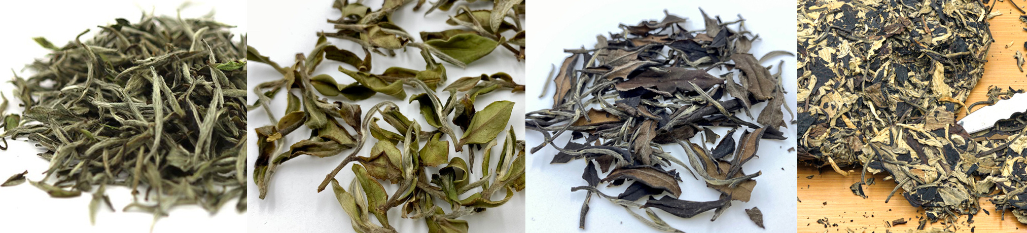 Taiwan & Chjna white teas