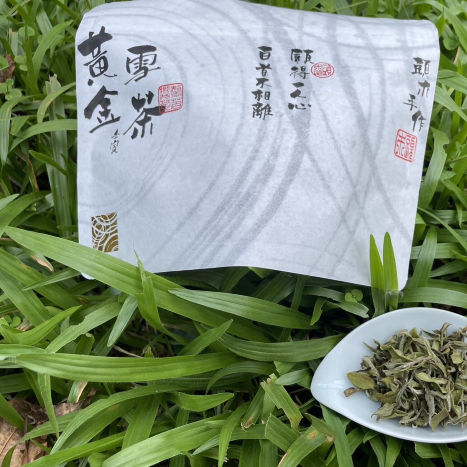 Shan Lin Xi High Mountain Golden Snow Sprout 0.5 oz - Teance Fine Teas