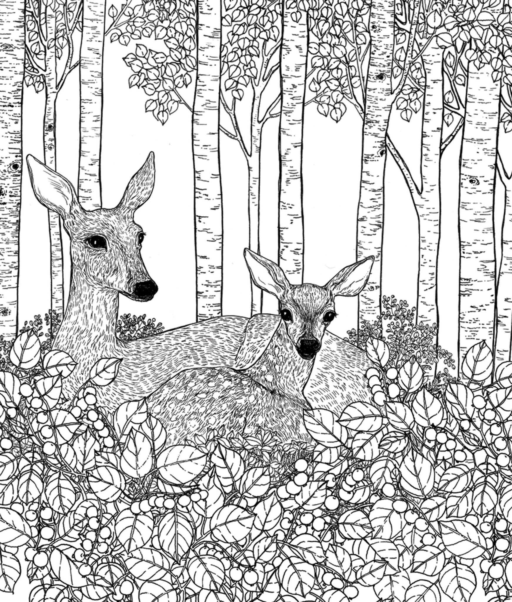 Drawn to Color- A Pacific Northwest Coloring Book - Midori Gifts