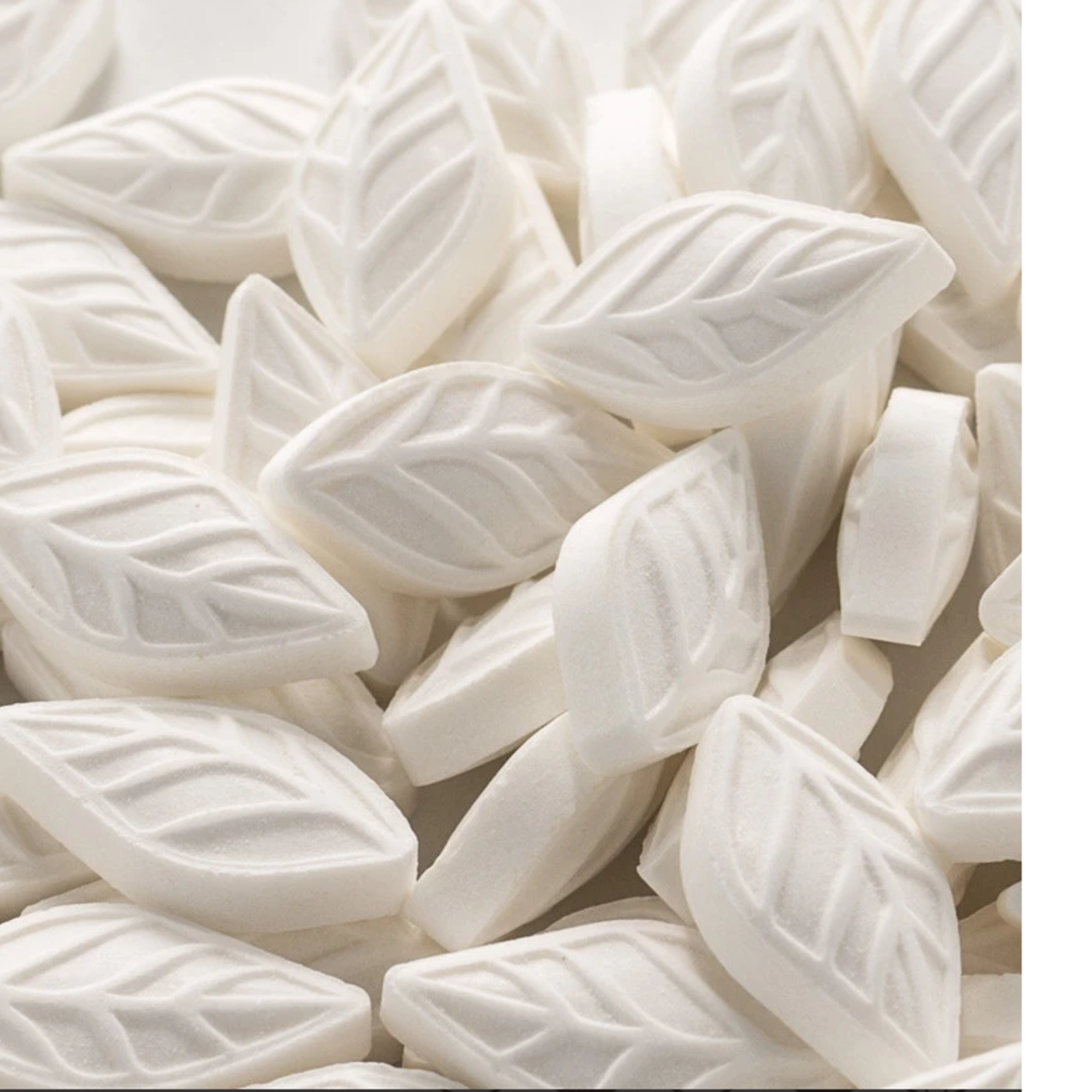 Sencha Naturals SENCHA Tin, Moroccan Mint | Sencha Naturals