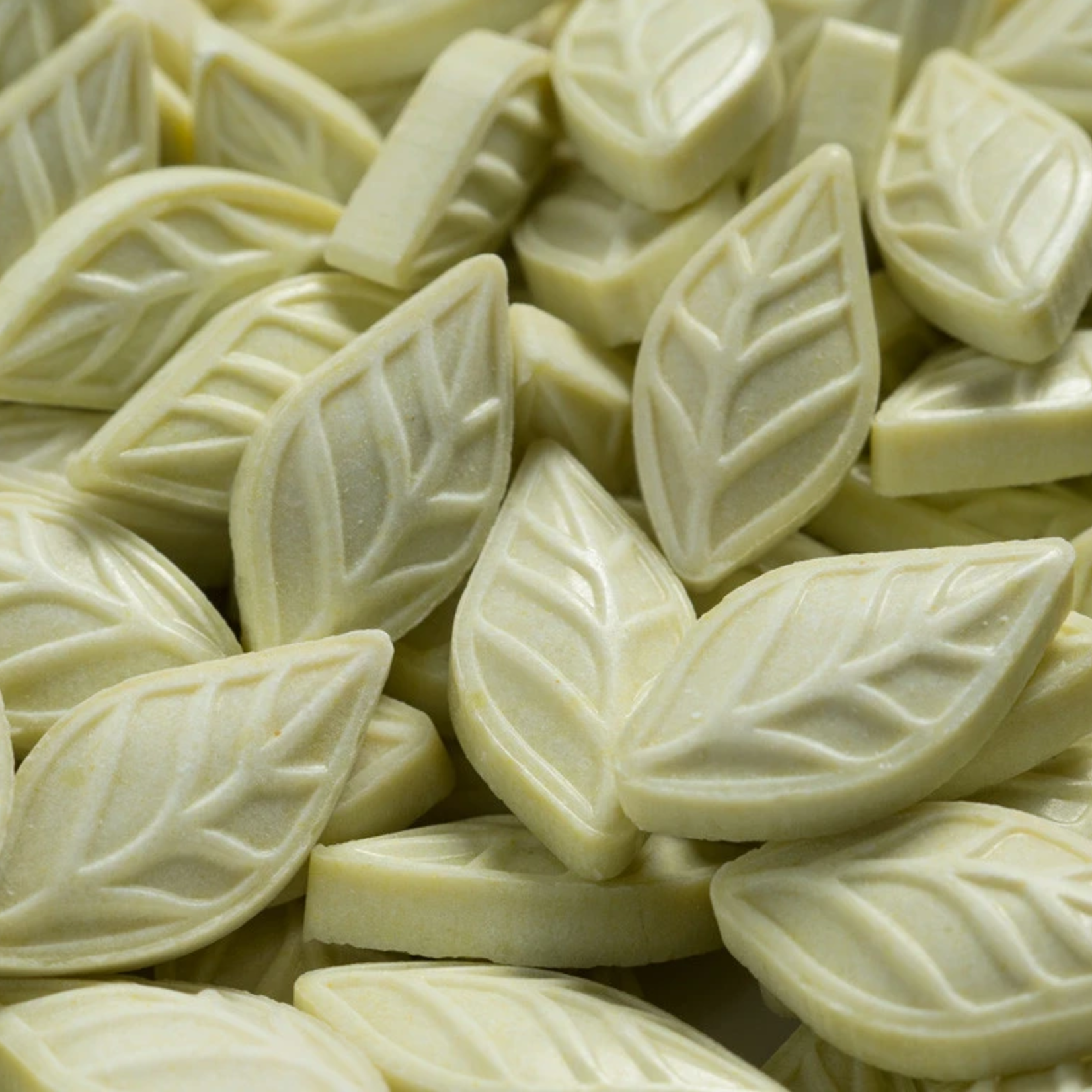 Sencha Naturals SENCHA Tin, Tropical Mango | Sencha Naturals