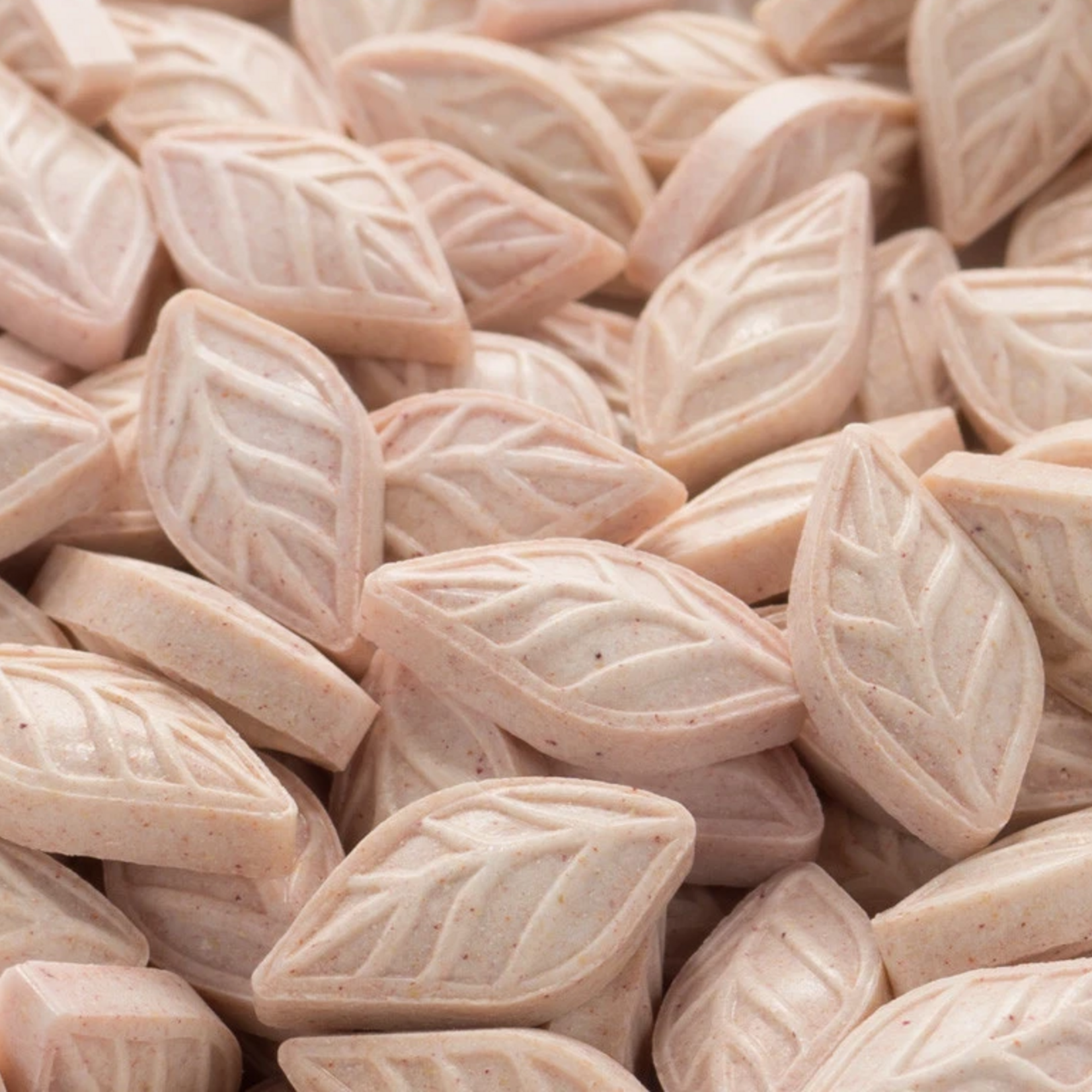 Sencha Naturals SENCHA Tin, Pink Dragonfruit | Sencha Naturals