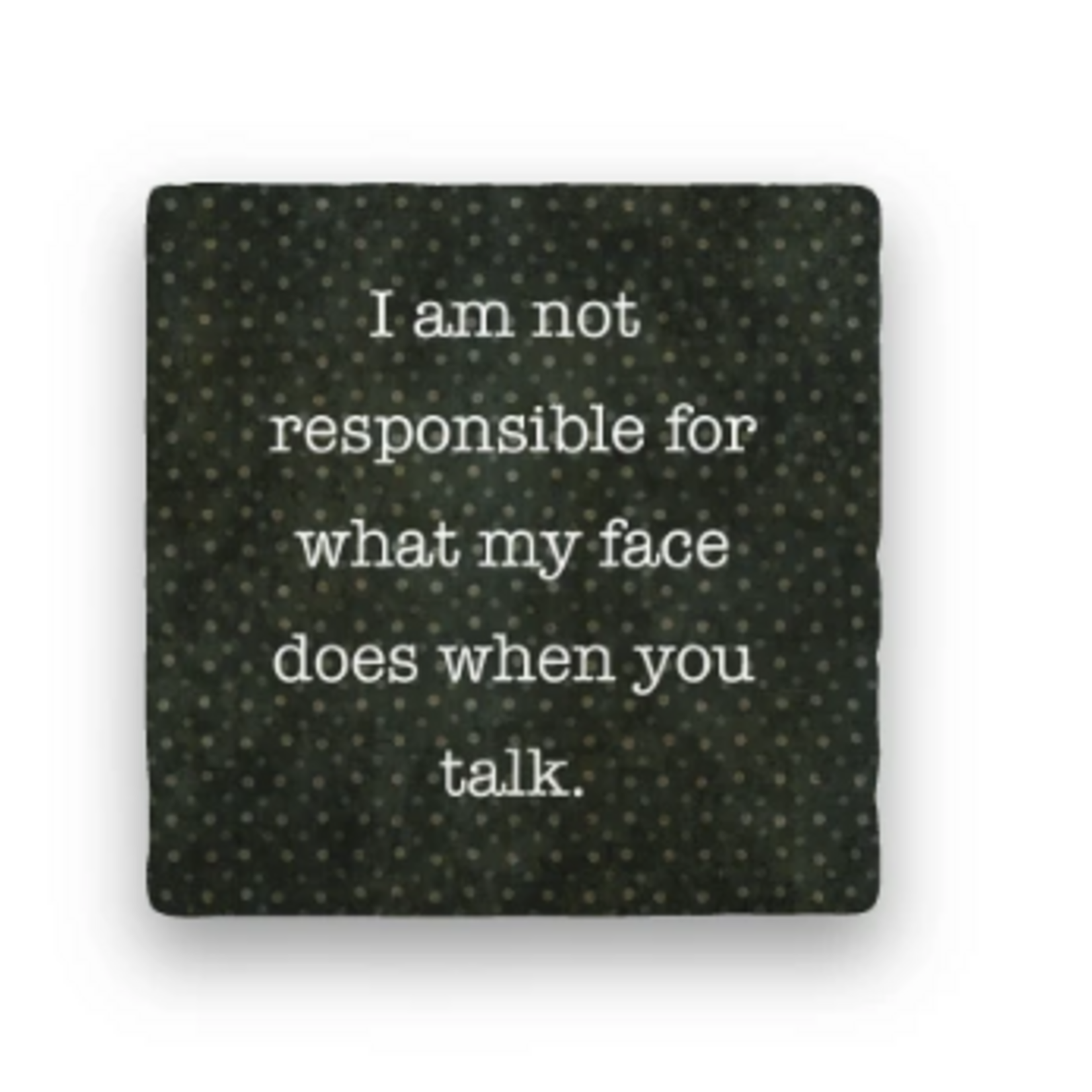 Paisley & Parsley Designs Coaster, I am not Responsible | Paisley & Parsley Designs