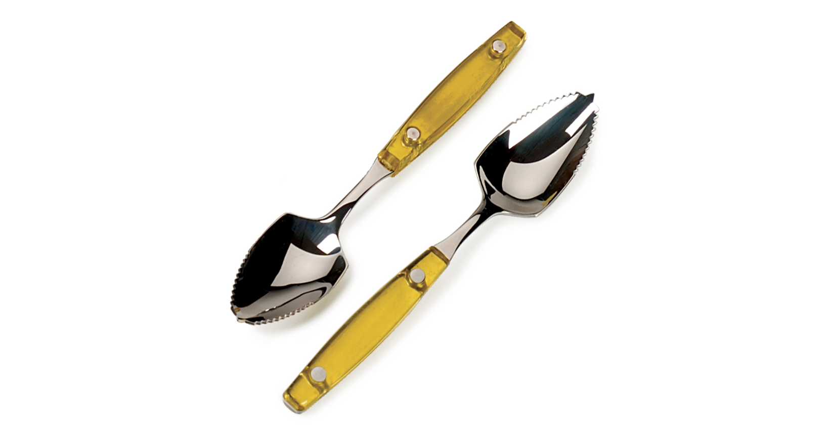 Grapefruit Spoon, Acrylic Handle, Set/2 Duluth Kitchen Co