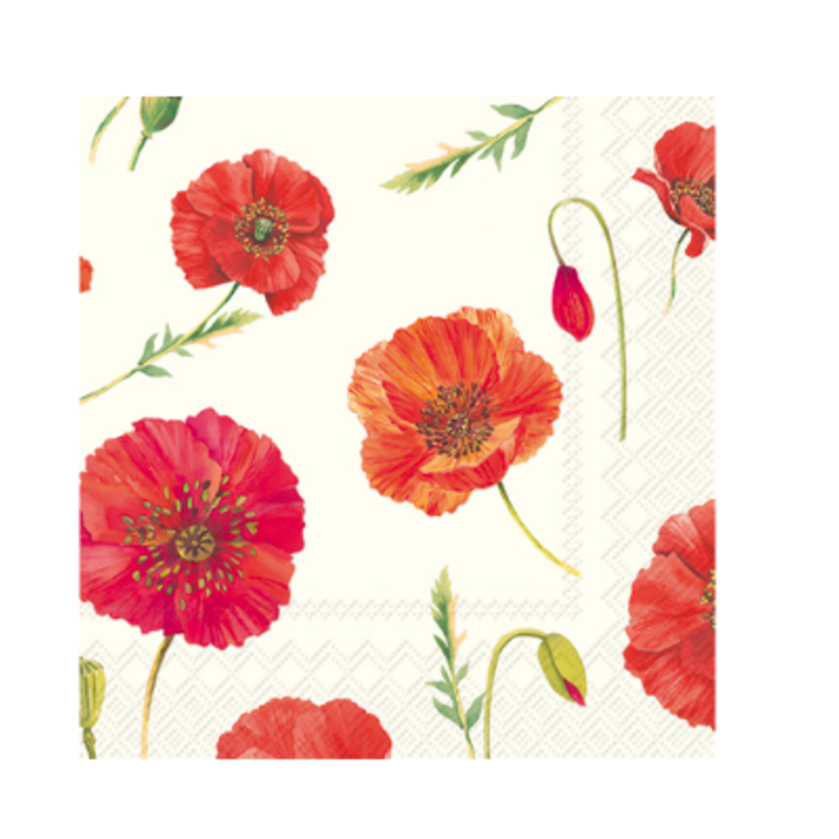 Boston International S20 Cocktail Napkin, Polly | Boston International