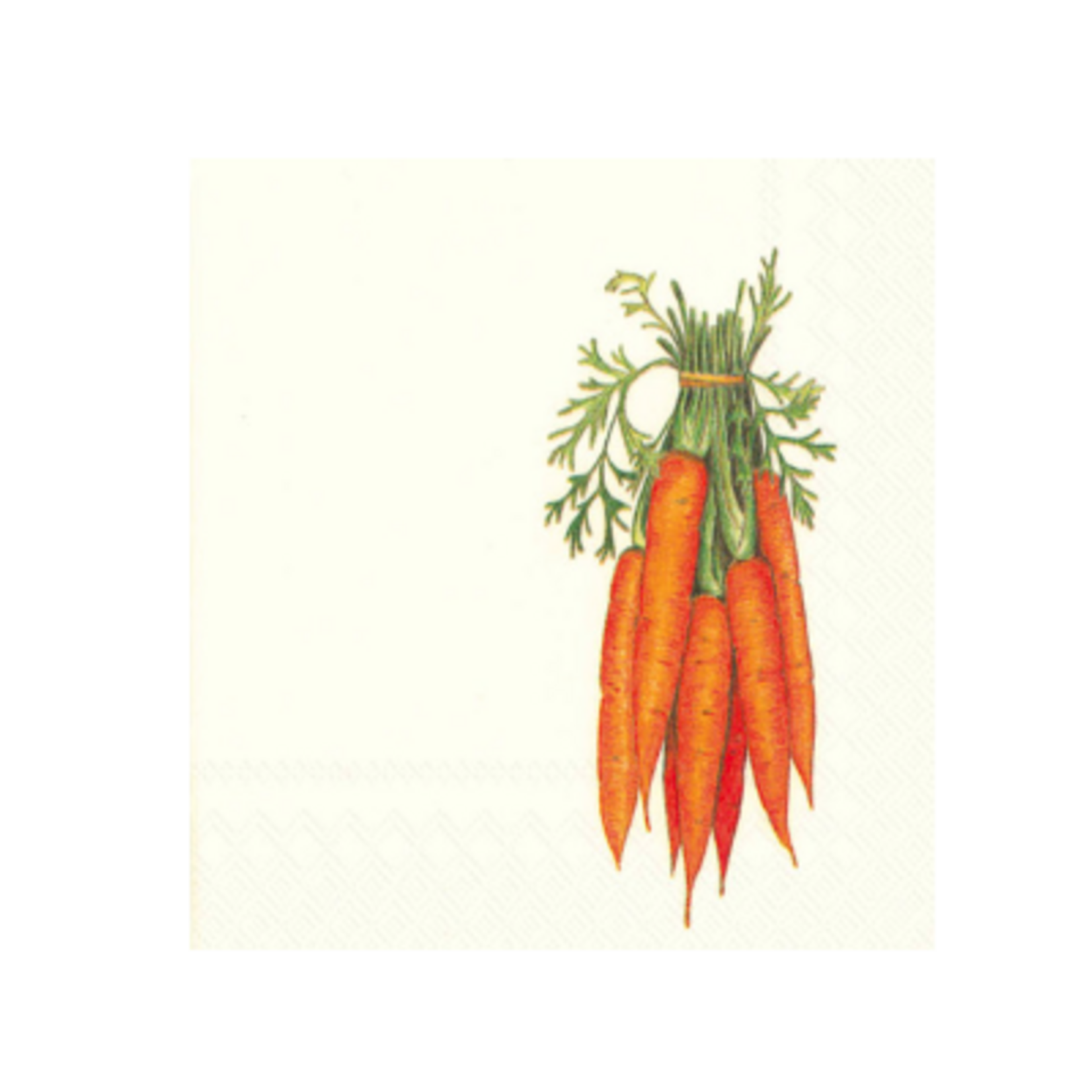 Boston International S20 Cocktail Napkin, Carrots | Boston International