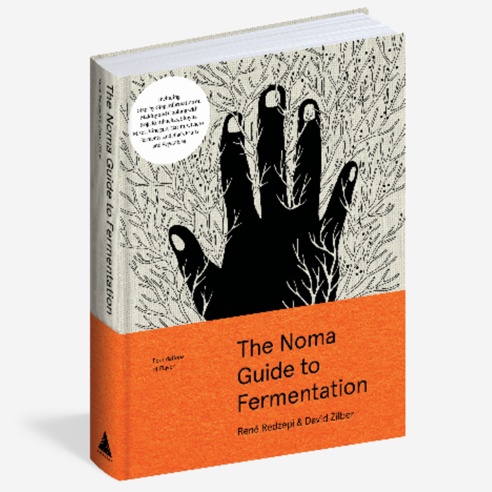 Noma Book 1 | Workman Publishing
