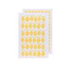 Danica Brands Dishtowel Floursack Set/2 - Lemon | Danica Brands
