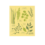 Danica Brands Les Fines Herbes Swedish Dishcloth | Danica Brands