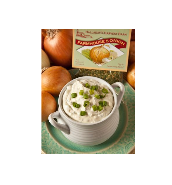 Five Onion Dip Duluth Kitchen Co