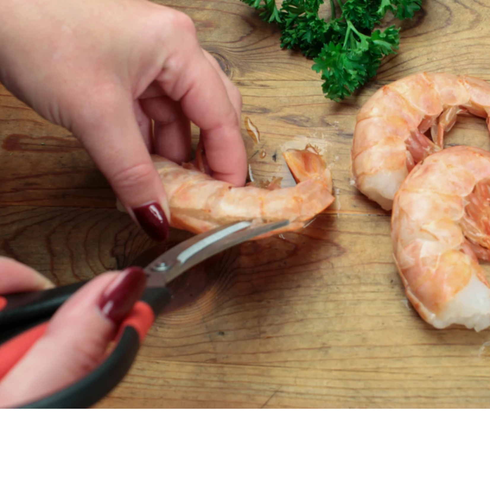 RSVP Endurance Seafood Scissors | RSVP