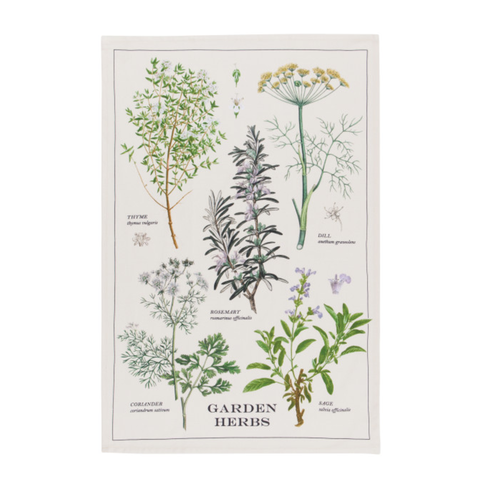 Danica Brands Dishtowel - Garden Herbs | Danica Brands