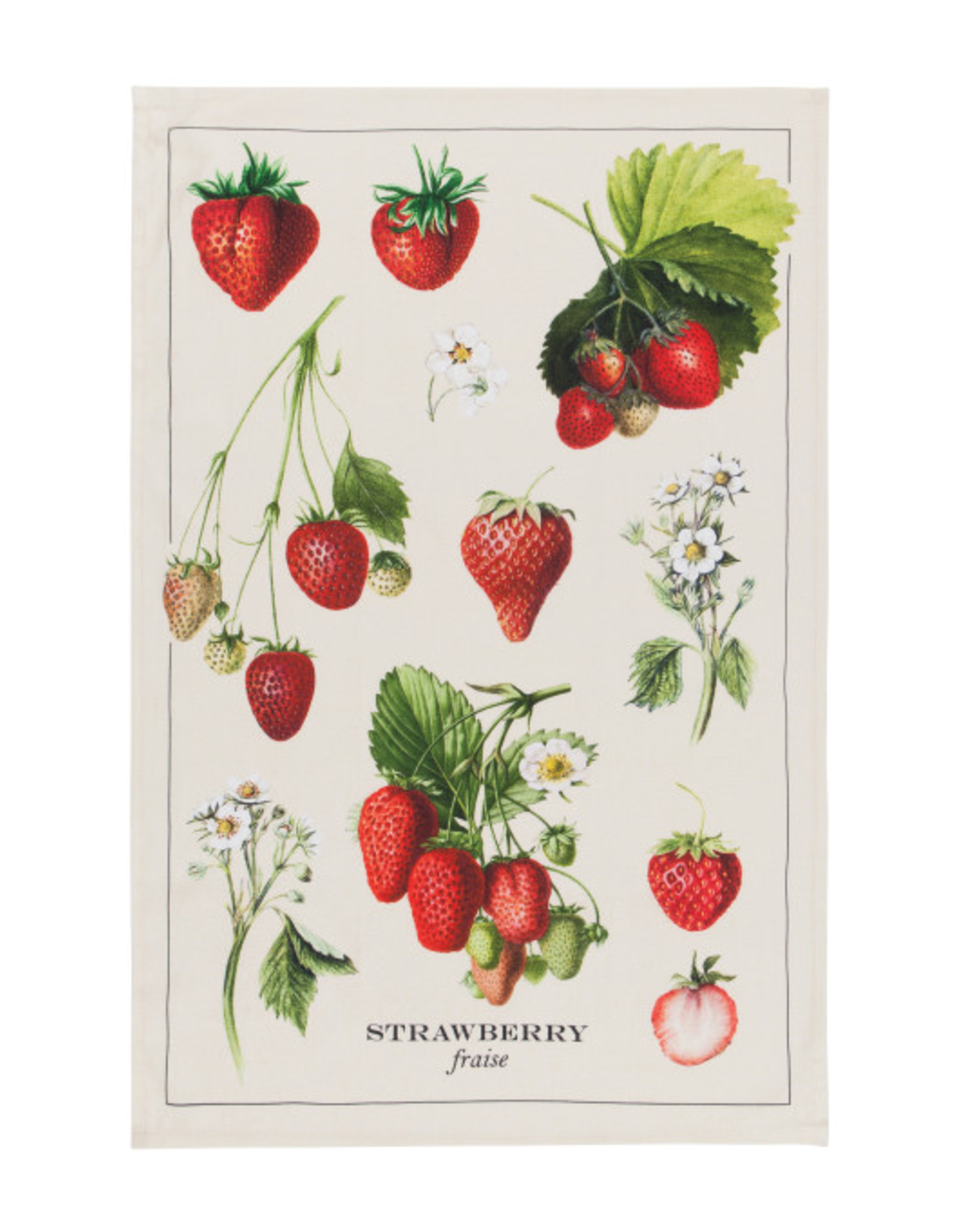 Now Designs Dishtowel - Vintage Strawberries