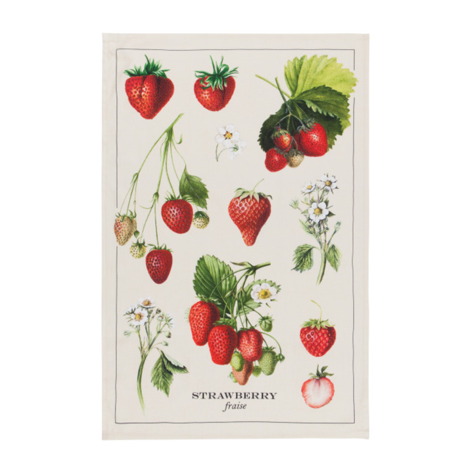 Now Designs Dishtowel - Vintage Strawberries