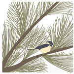 Boston International Cocktail Napkin, Chickadee & Pine | Boston International
