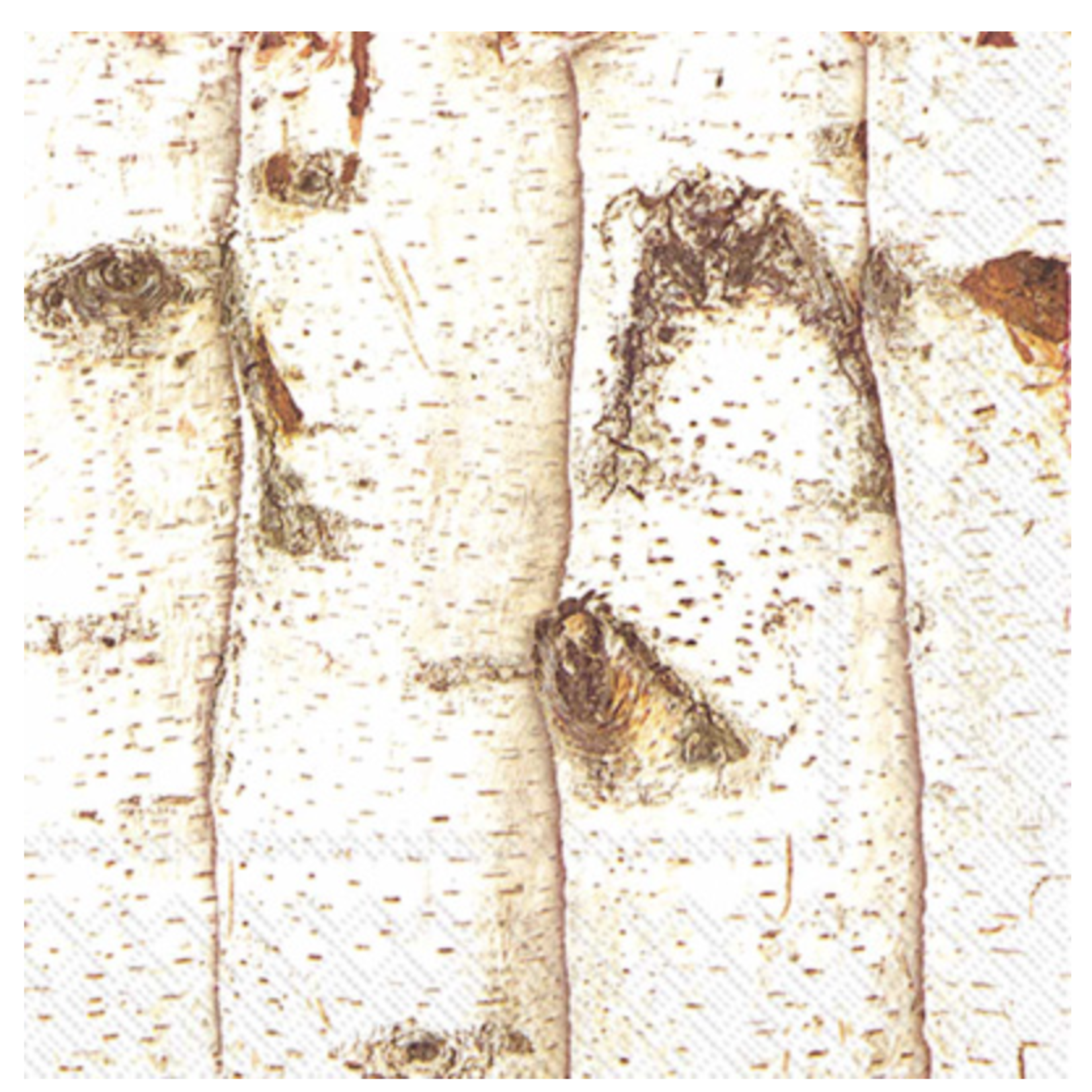 Boston International Luncheon Napkin, Birch | Boston International