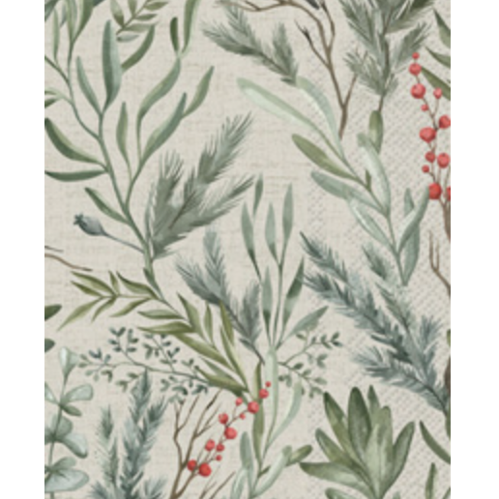 Boston International Guest Towel - Winter Greens Cream | Boston International