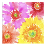 Boston International Luncheon Napkin, Gerberas | Boston International