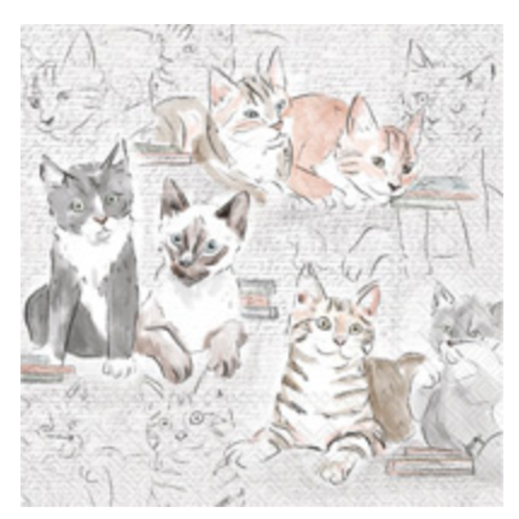 Boston International Cocktail Napkin, Library Cats