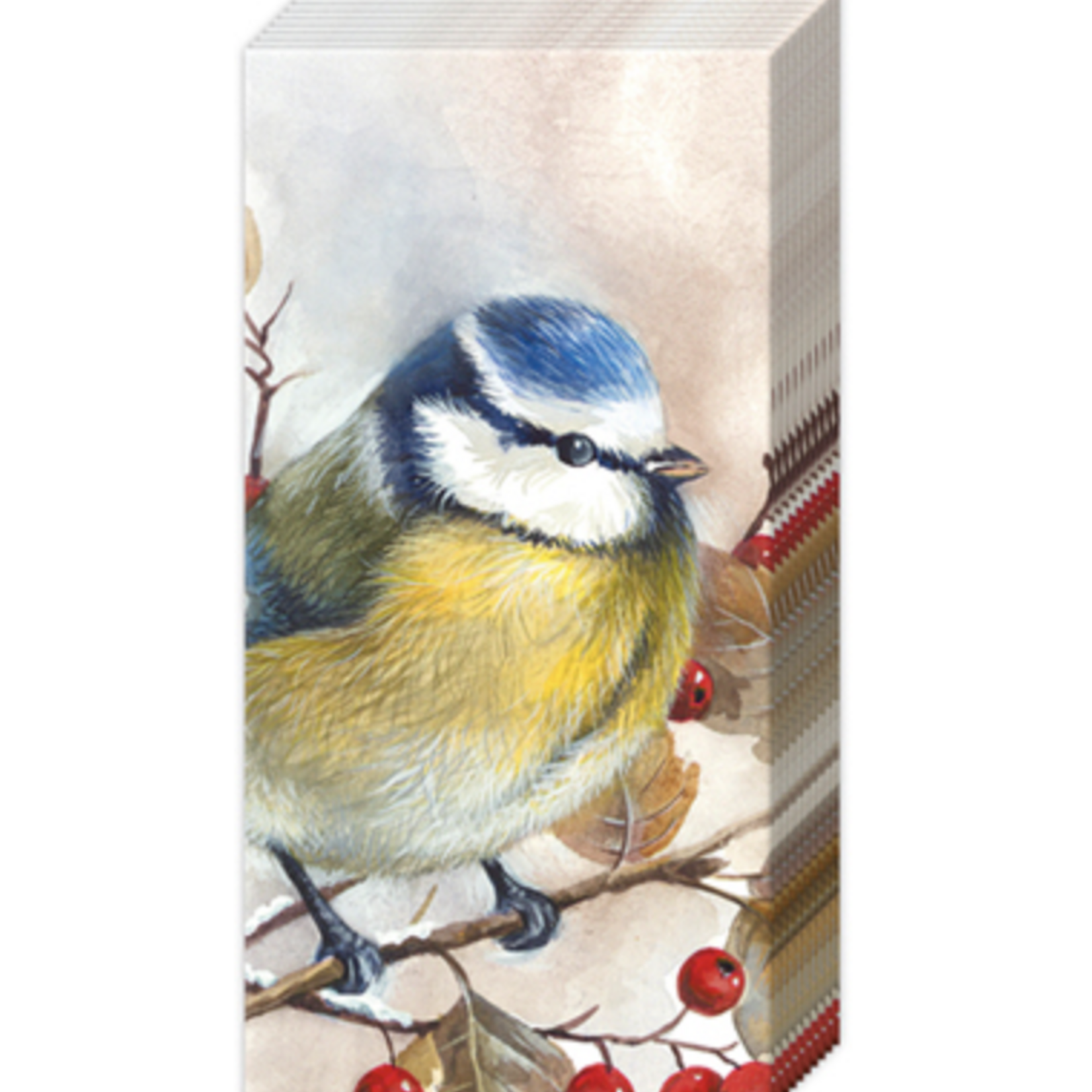 Boston International Pocket Tissues - Sweet Little Bird | Boston International