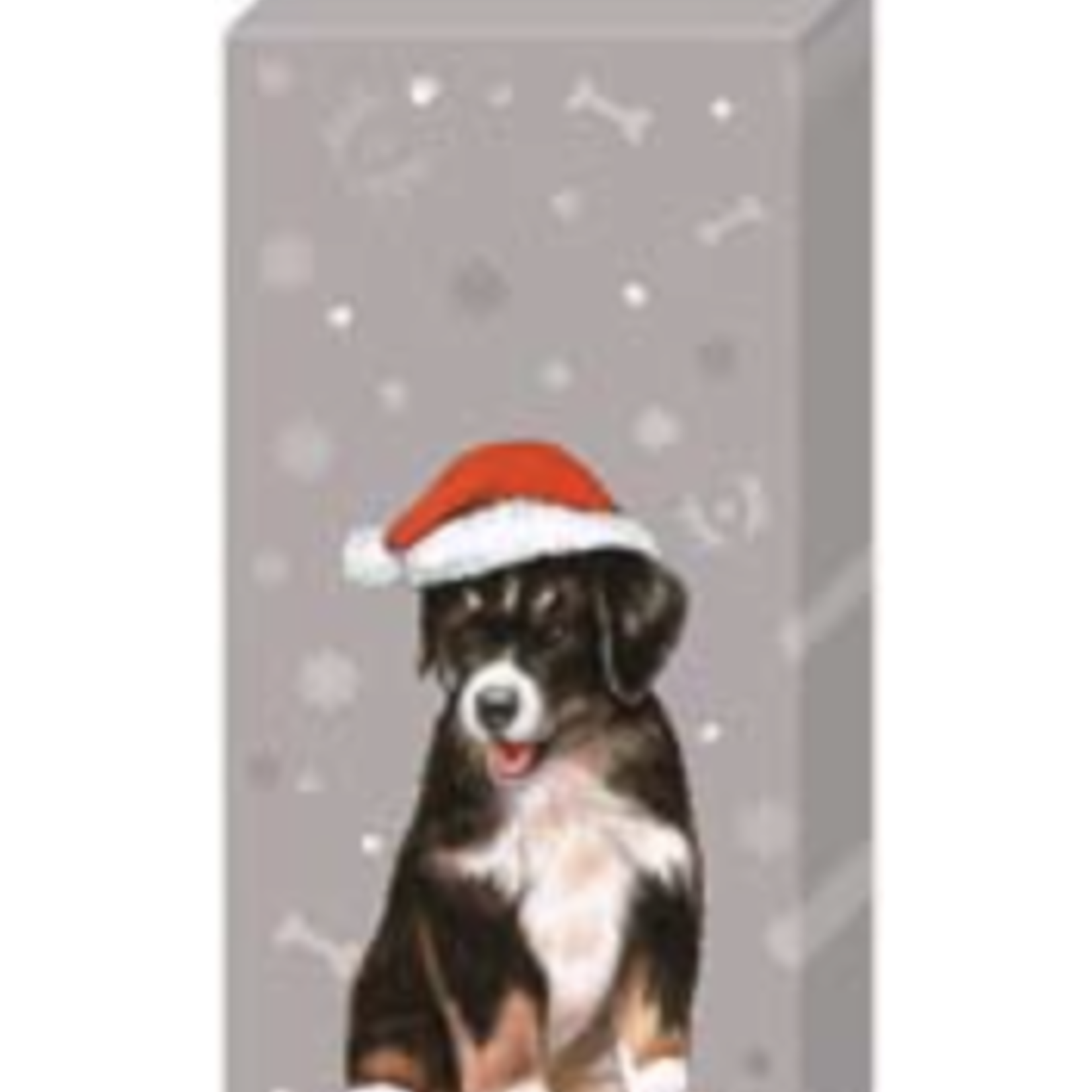 Boston International Pt, I Wuff You | Boston International