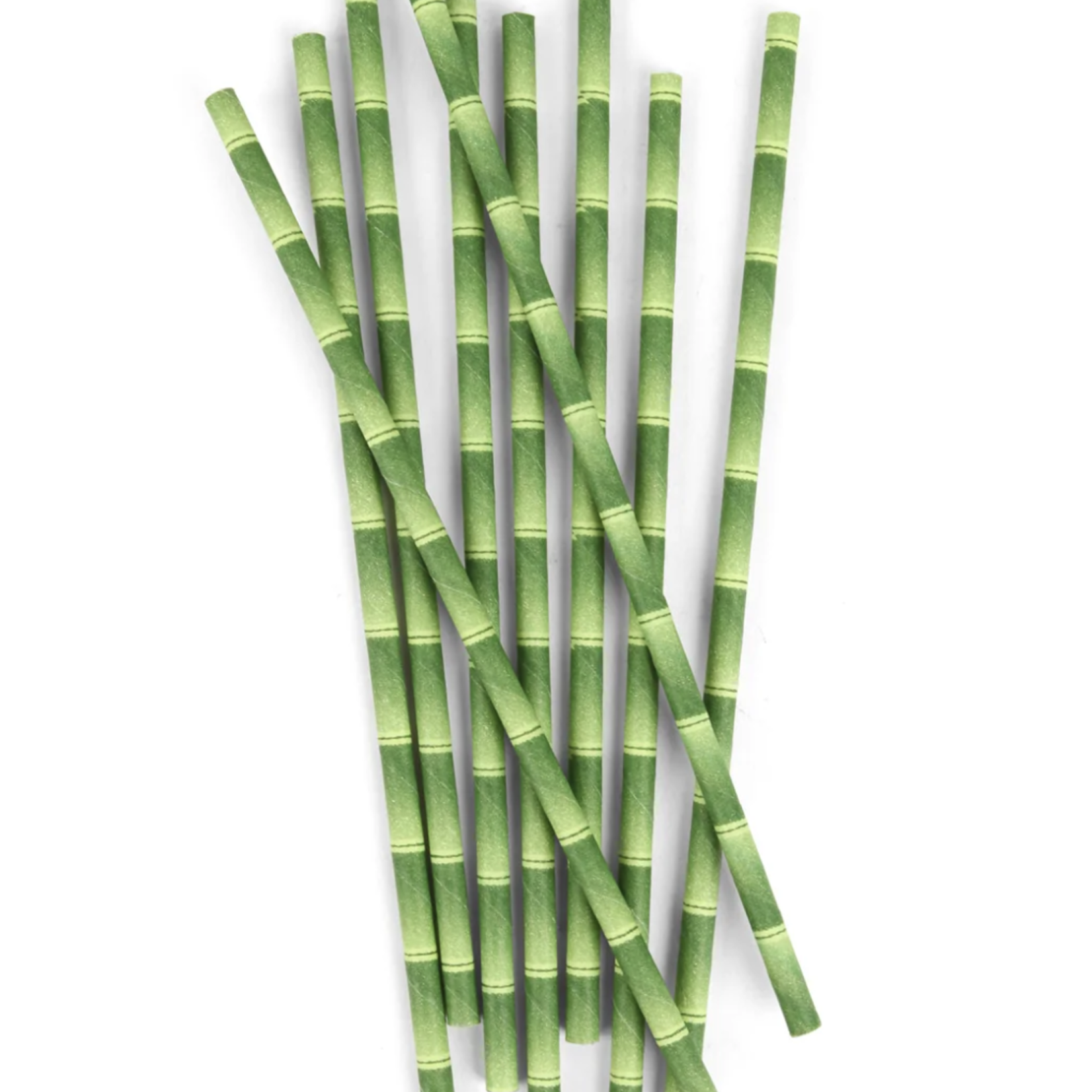 Kikkerland Bamboo Paper Straws | Kikkerland
