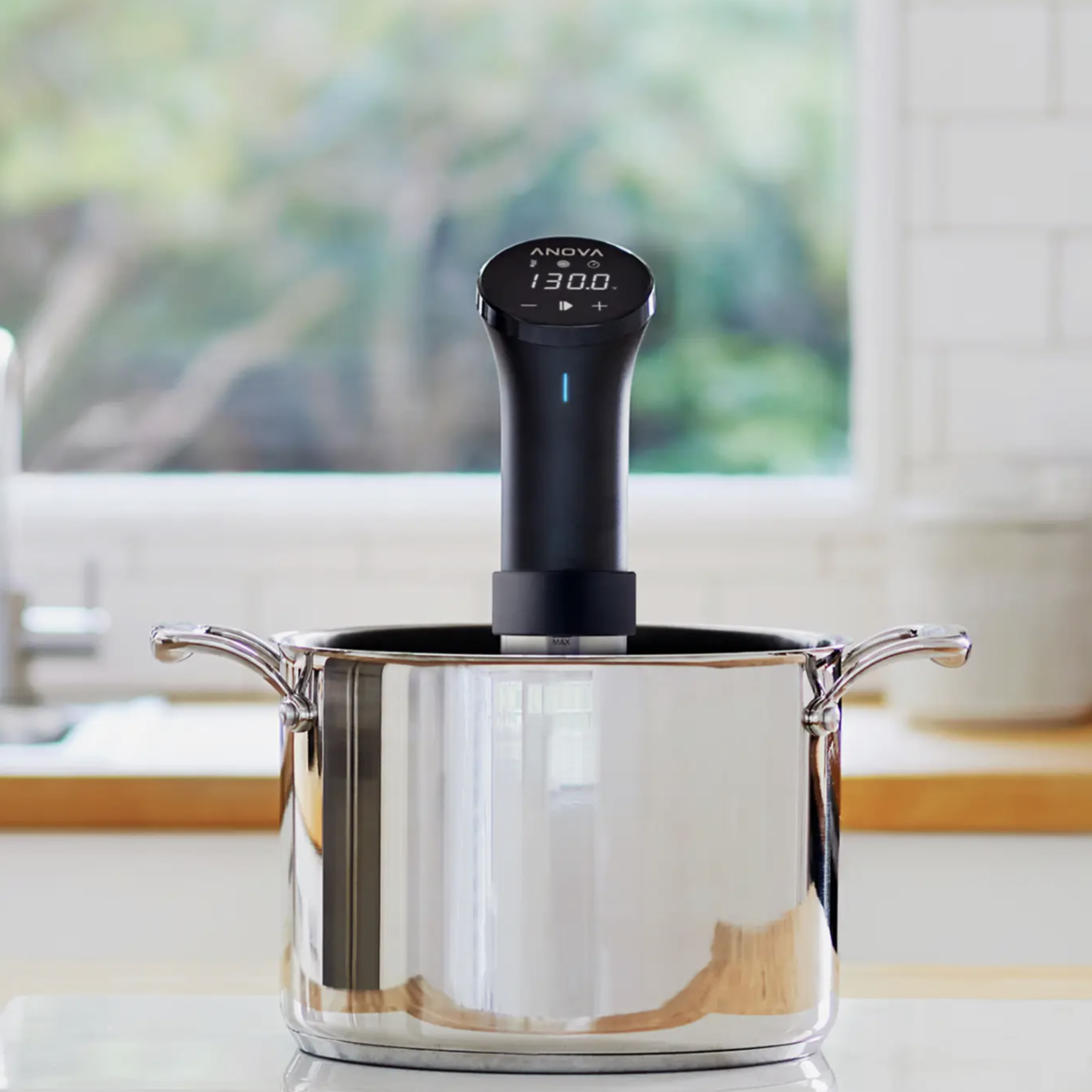 Anova Annova Sous Vide - Precision Cooker (120V) | Anova