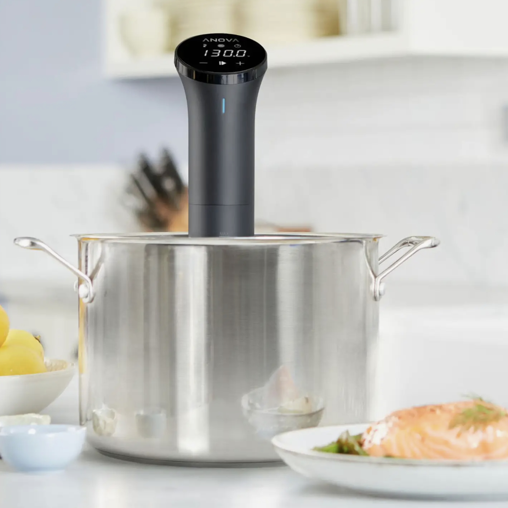 Anova Sous Vide - Precision Cooker Nano (120V) | Anova
