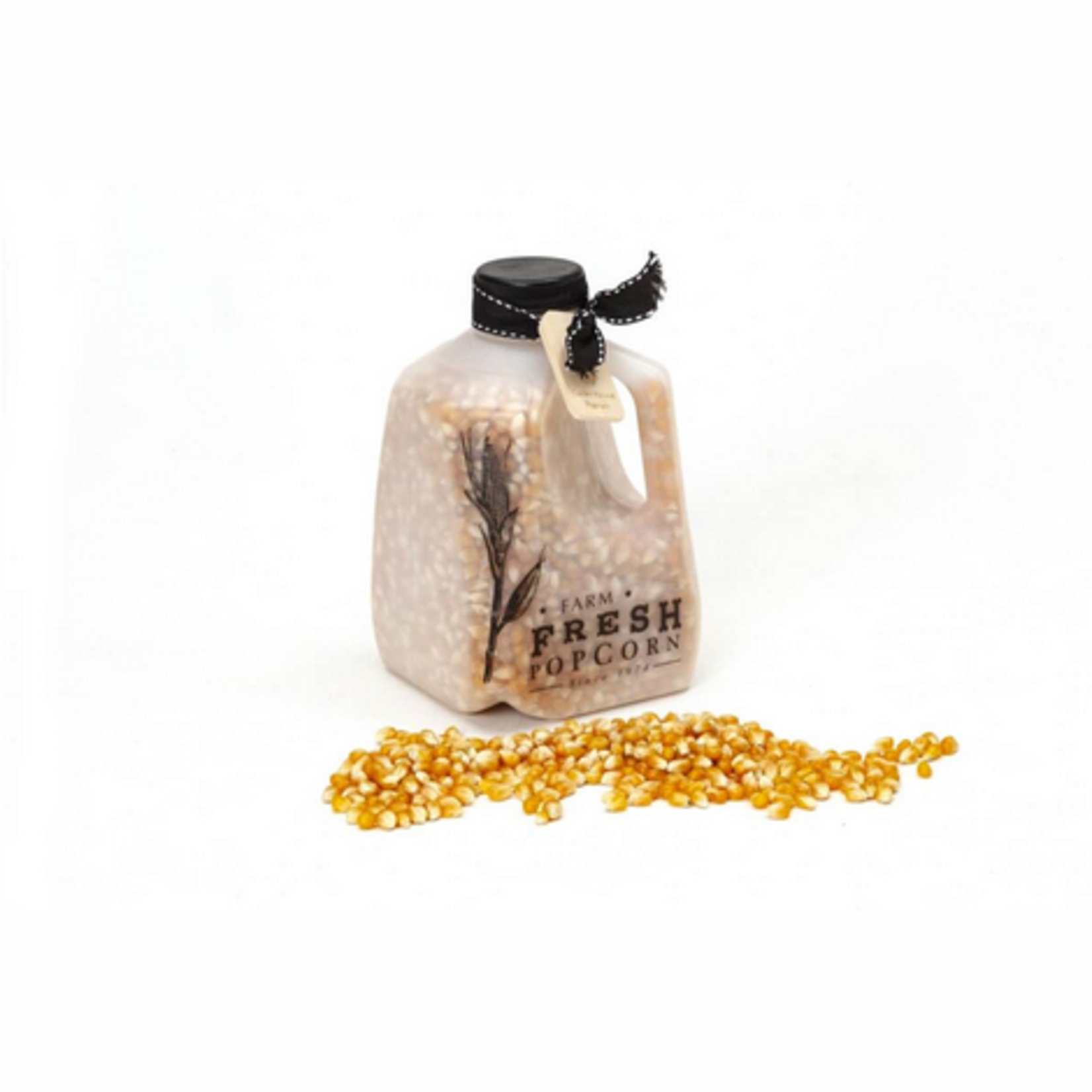 Wabash Valley Farms Farm Fresh Popcorn Mini Jug - Big & Yellow Popcorn