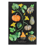 Danica Brands Dishtowel - Autumn Squash | Danica Brands