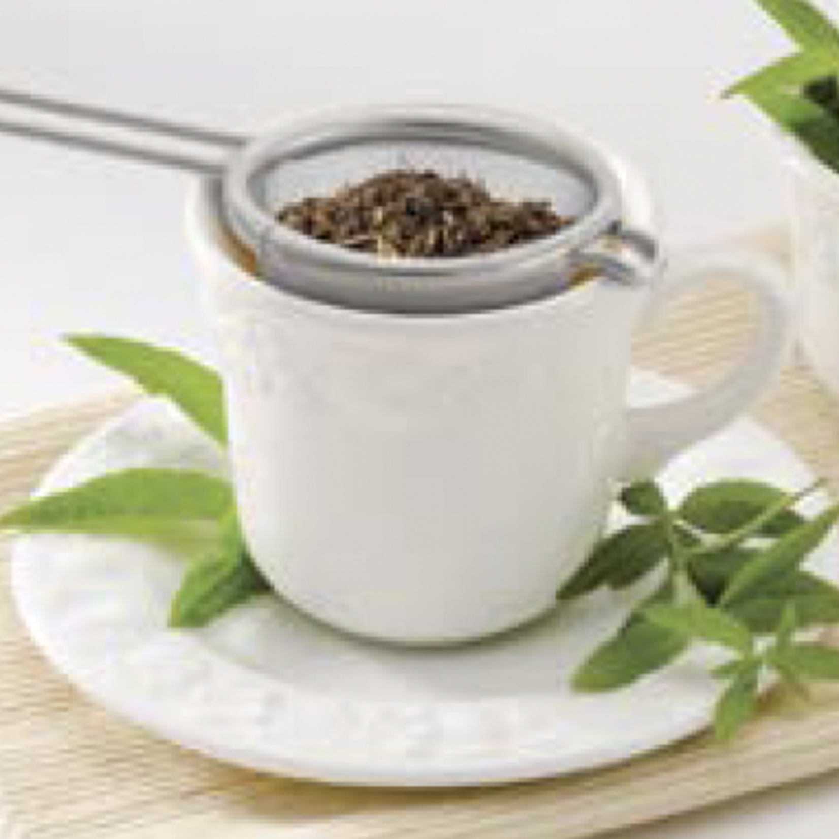 Harold Import Co. TEA STRAINER 2 3/4" SS | Harold Import Co