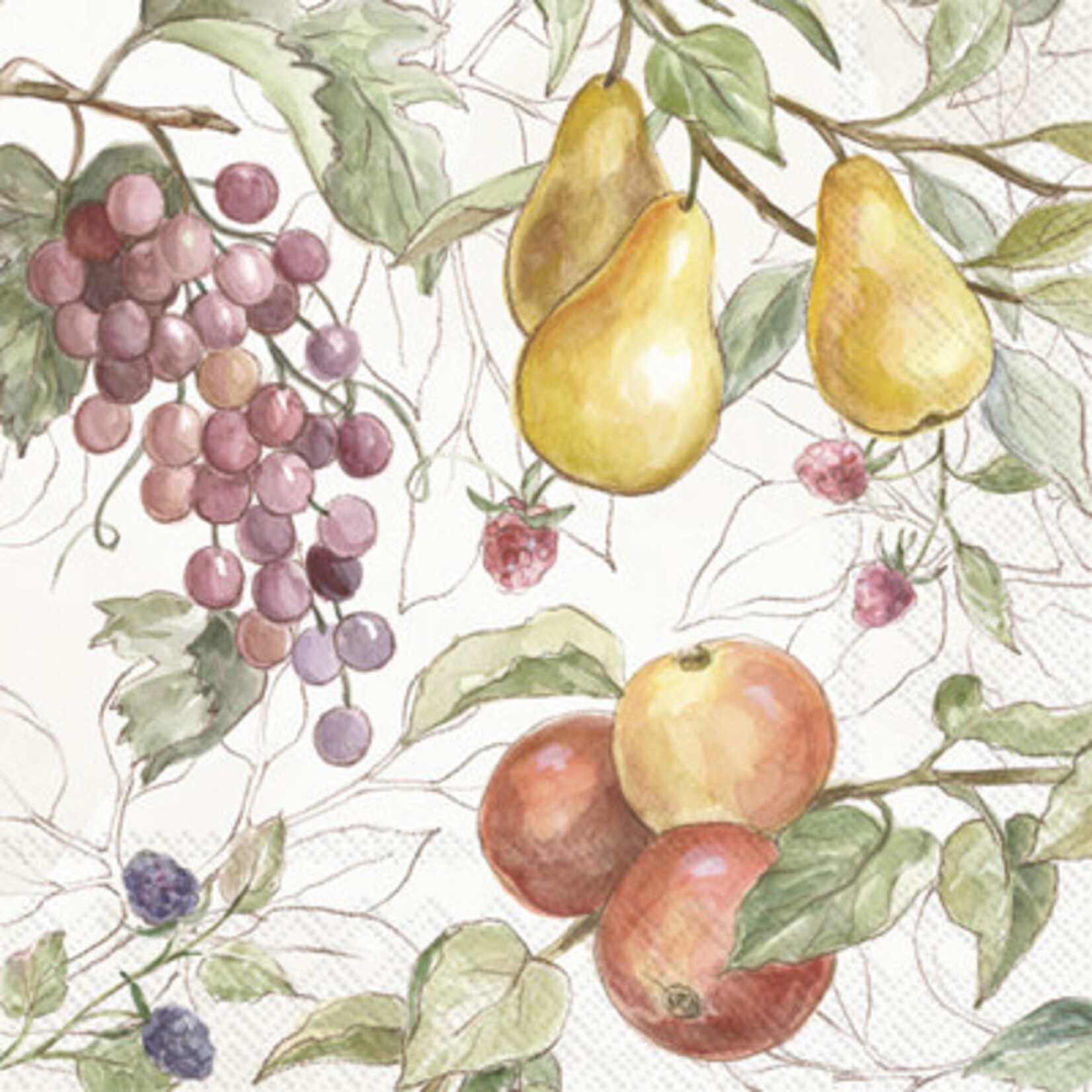 Boston International Luncheon Napkin, Country Fruits | Boston International