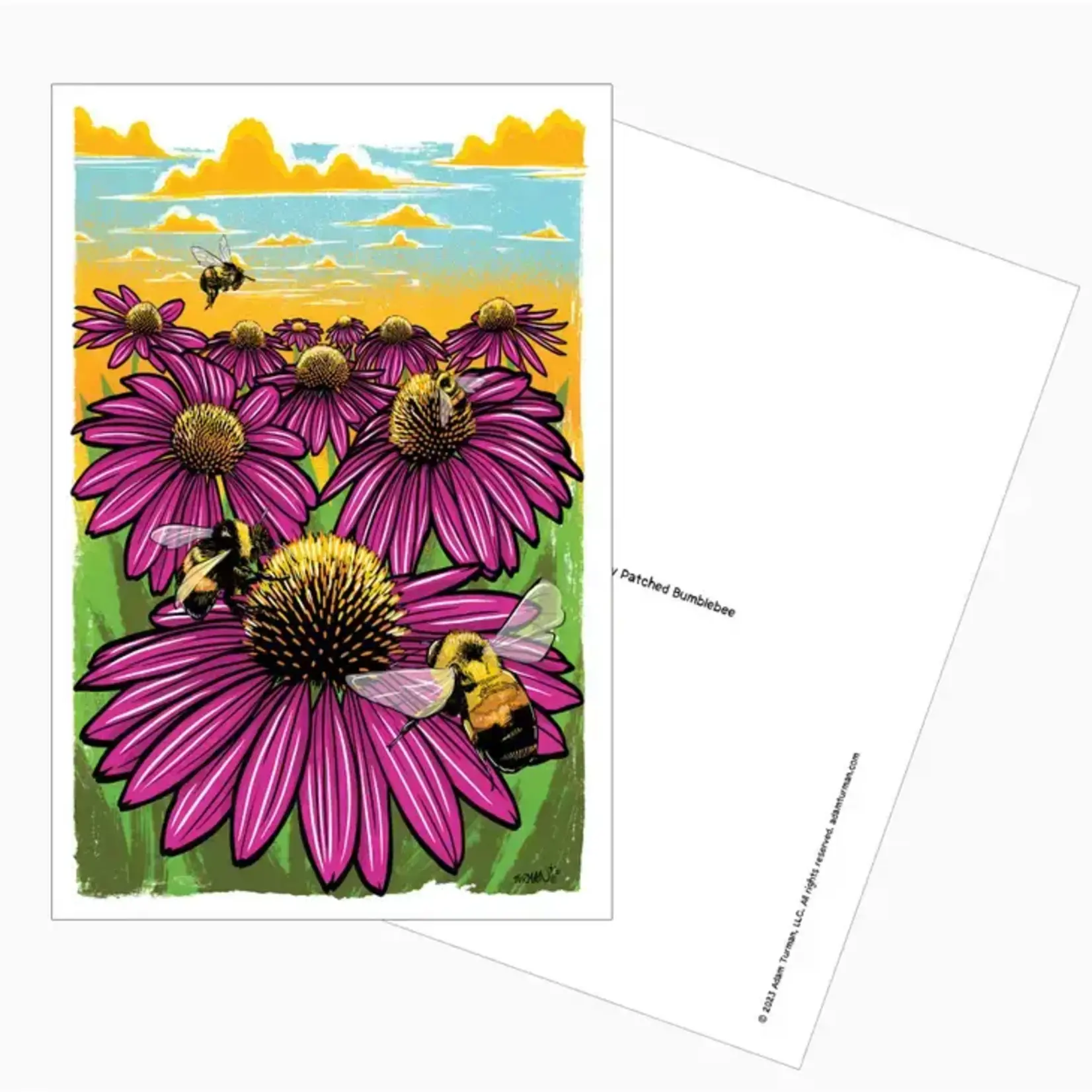 Adam Turman Artwork Postcard - Rusty Patched Bumble Bee | Adam Turman Artwork