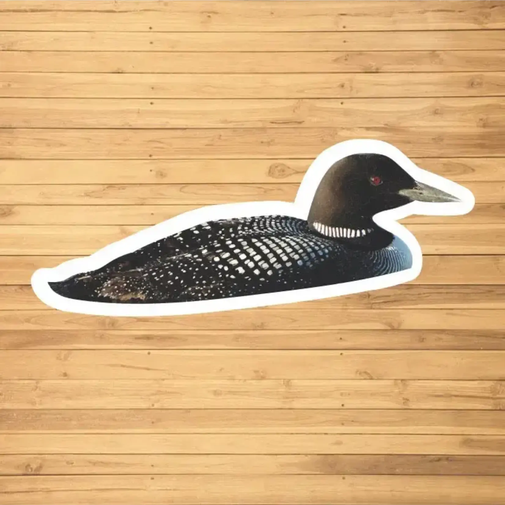 Adam Turman Artwork Mn Loon Sticker