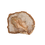 Fortessa Petrified Wood Platter 12" | Fortessa