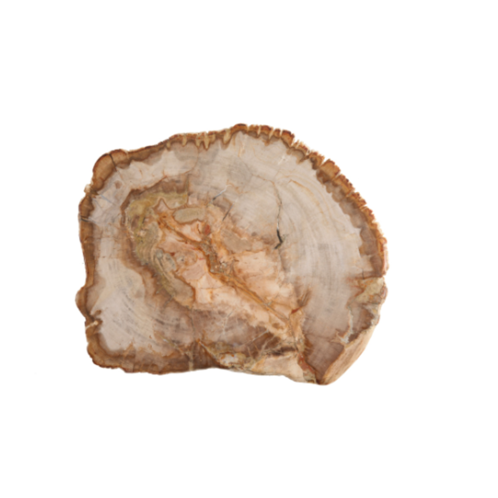 Fortessa Petrified Wood Platter 12" | Fortessa