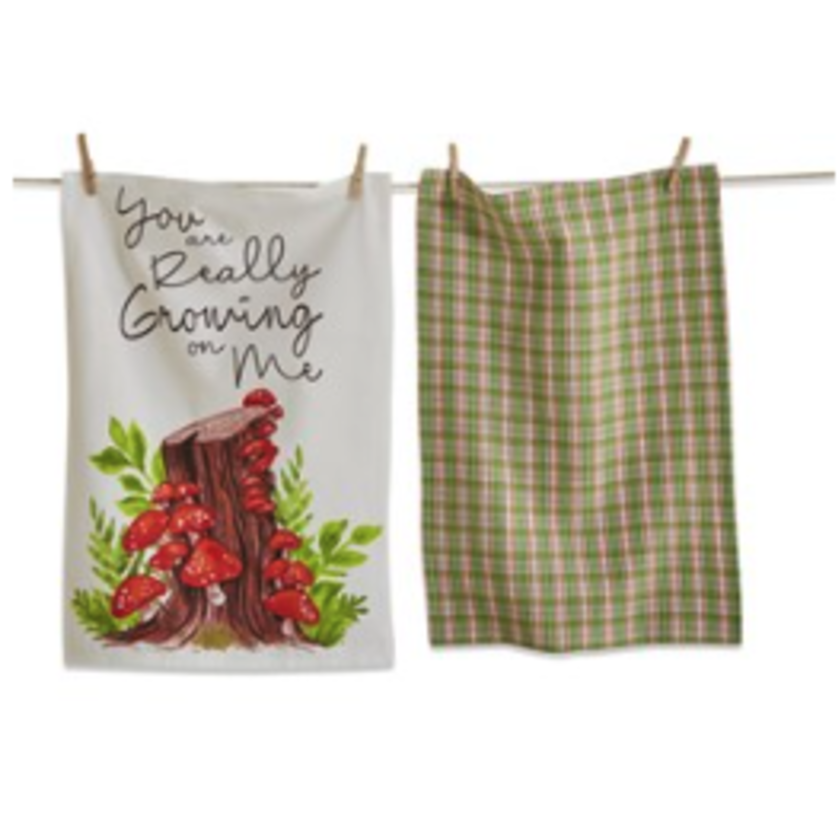 Tag Dishtowel S/2 - Growing on Me