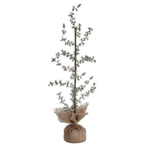 Tag Burlap Woodland Tree 30" | Tag
