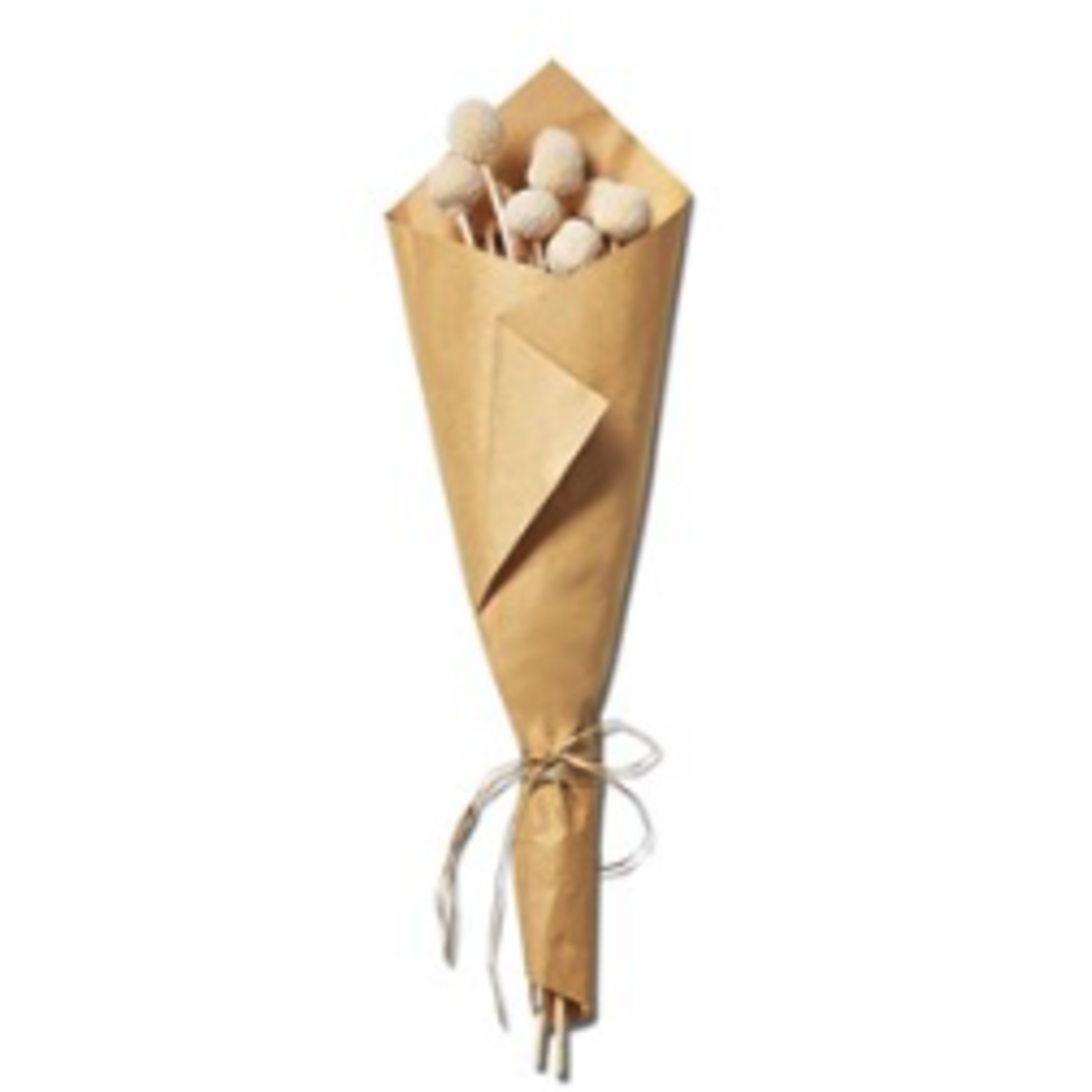 Tag Craspedia Bunch - White | Tag