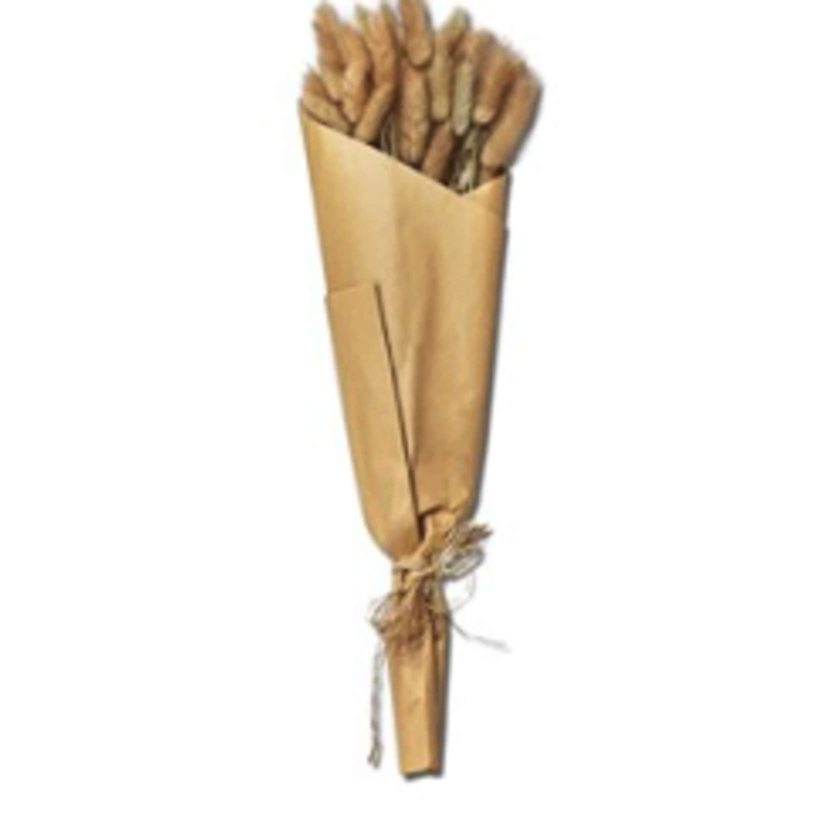 Tag Bunny Tail Bunch - Natural | Tag