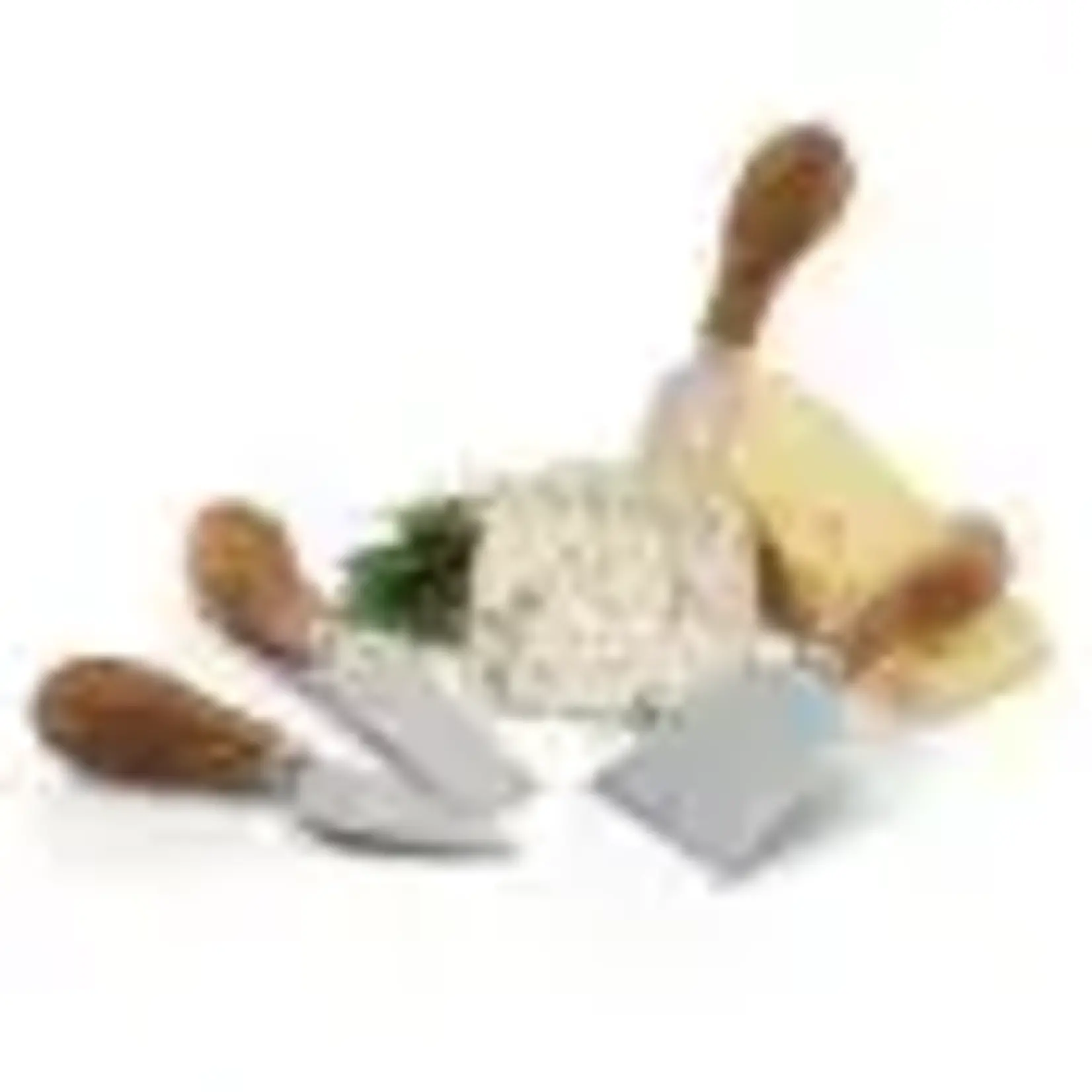True Fabrications Gourmet Cheese Knives by Twine® | True Fabrications
