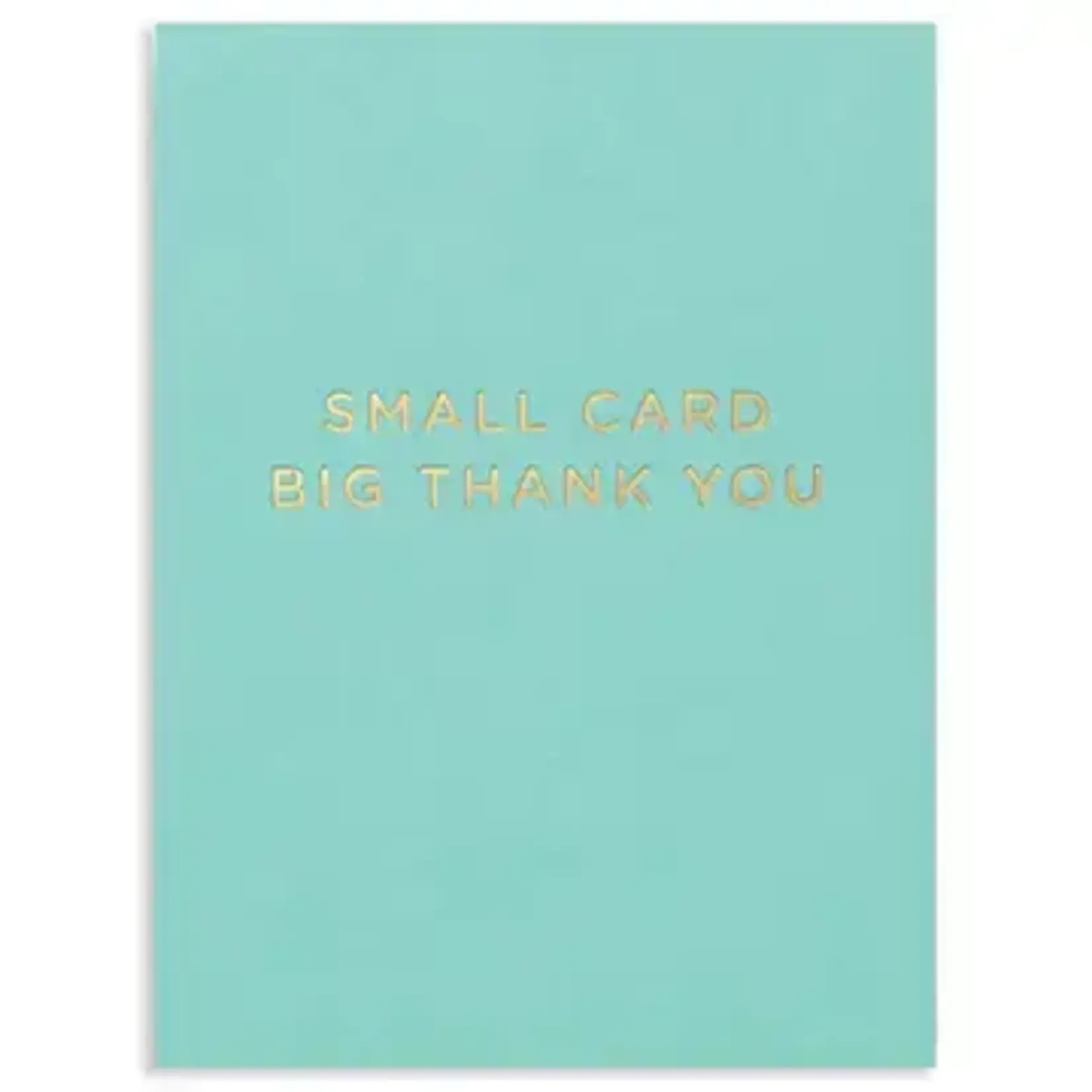 Calypso Cards Greeting Card - Big Thank You | Calypso Cards