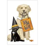 Mary Lake-Thompson Halloween Dog and Cat with Hat Towel