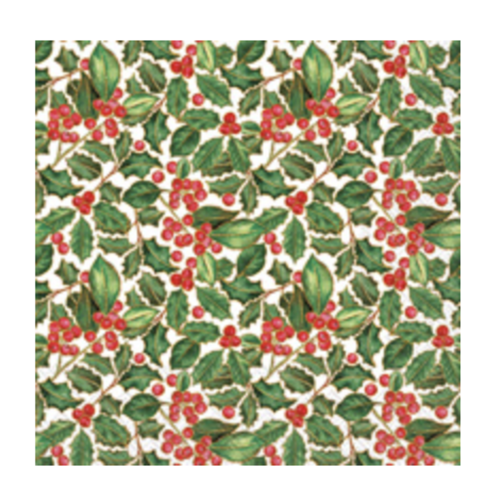 Boston International LNCH/HOLLY | Boston International