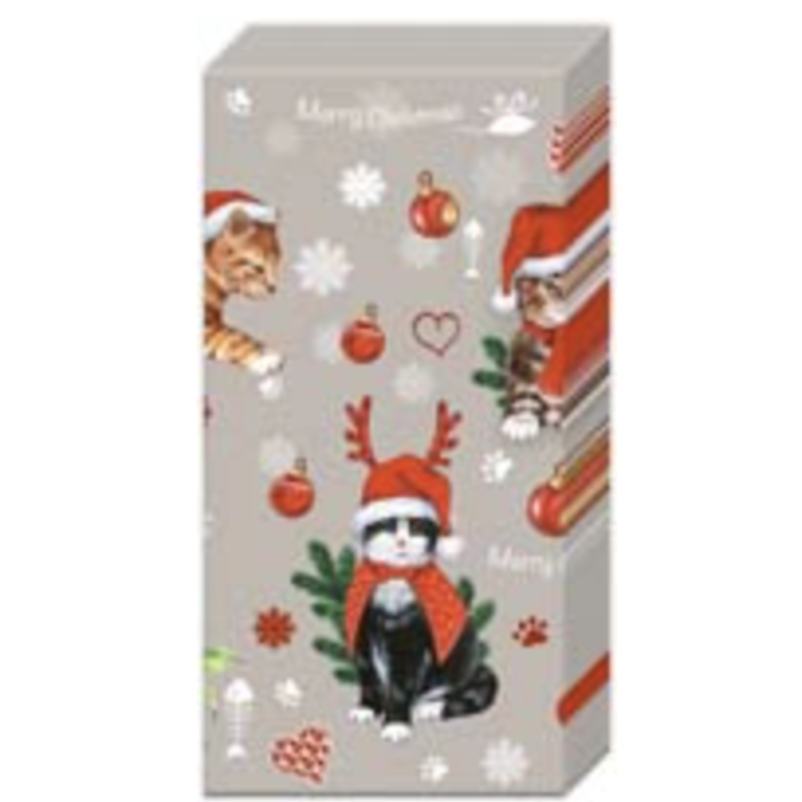 Boston International Pt, Cats Celebration Grey | Boston International