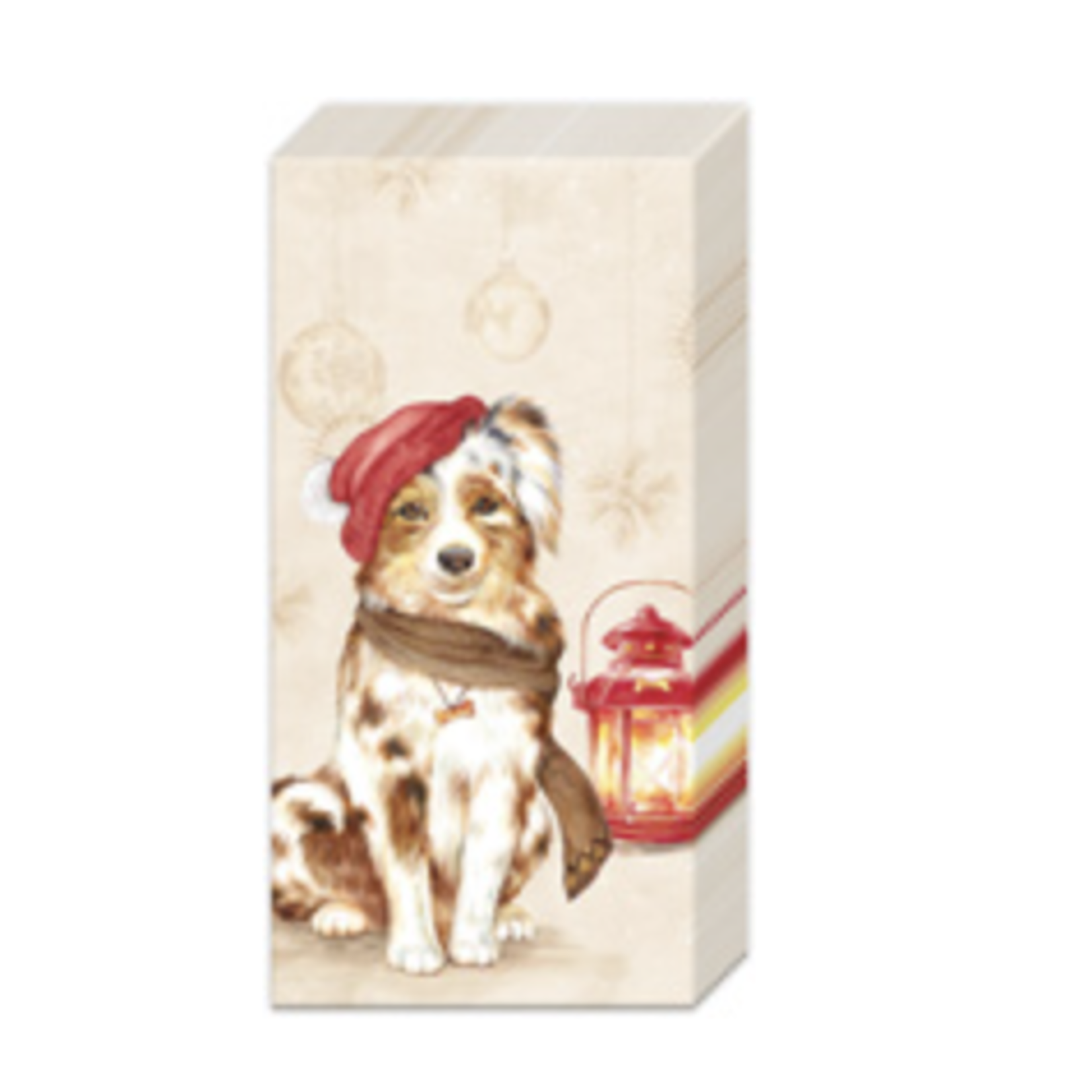 Boston International Pt, Jack Cream | Boston International