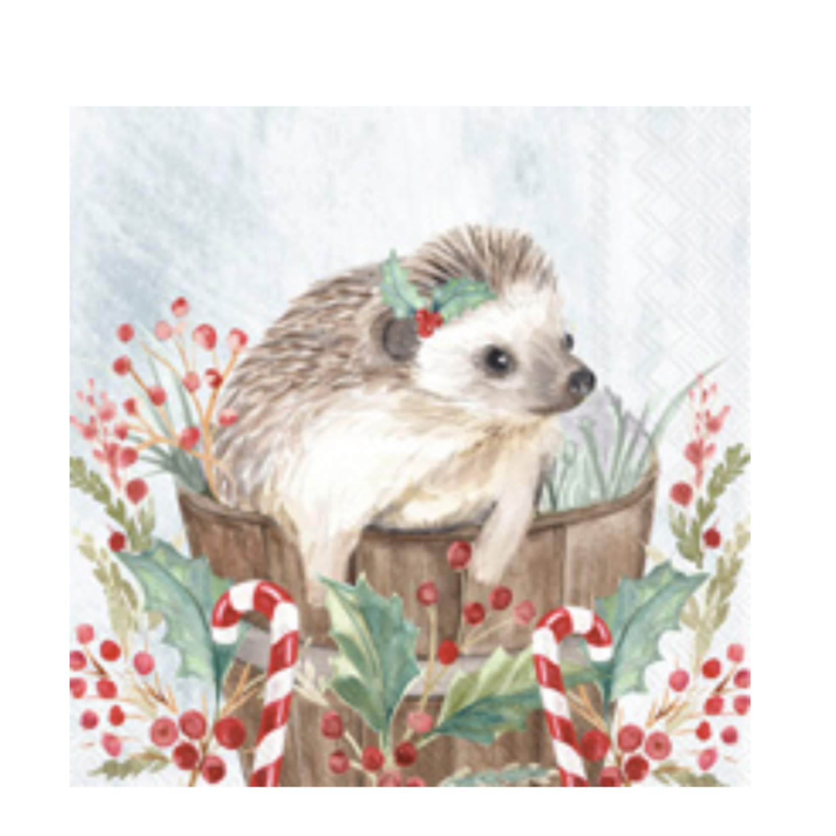 Boston International Cocktail Napkin, Holiday Hedgehog