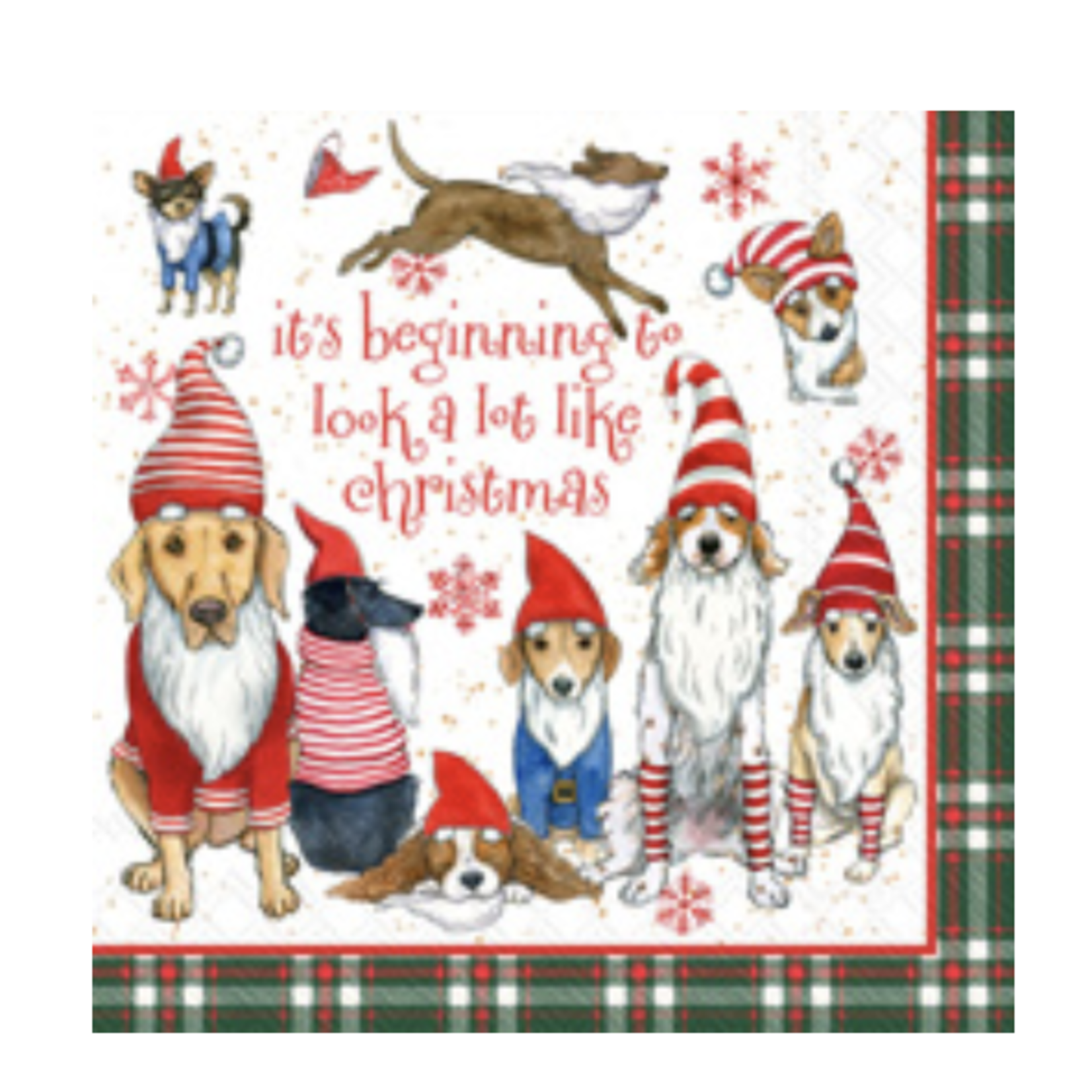 Boston International Cocktail Napkin, Gnome Dogs