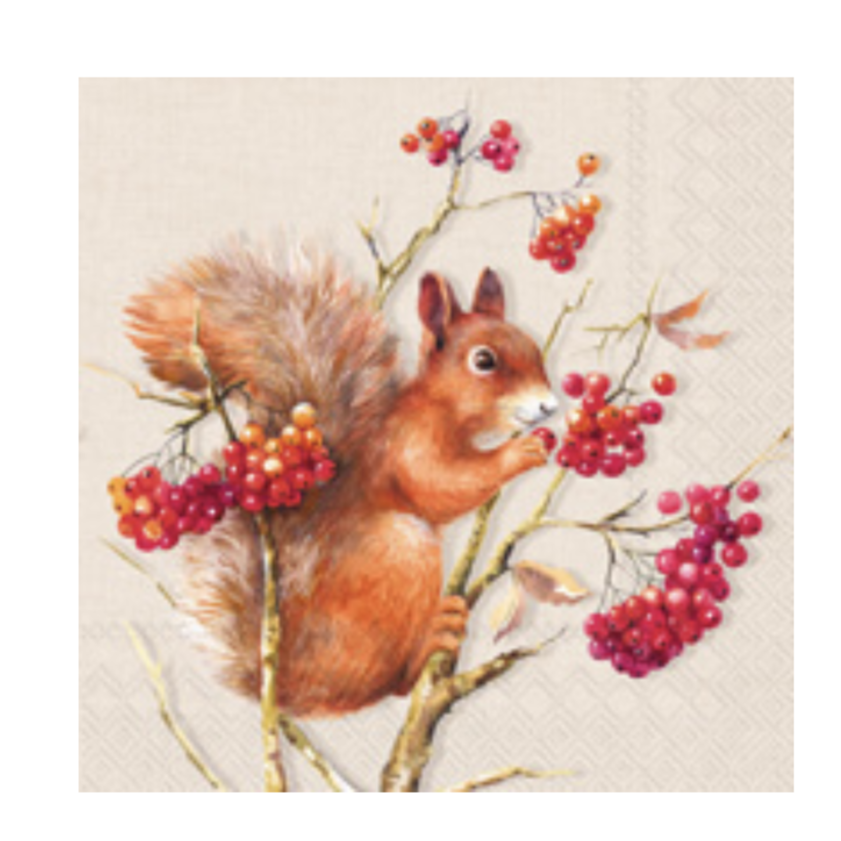 Boston International Cocktail Napkin, Tammy Cream | Boston International