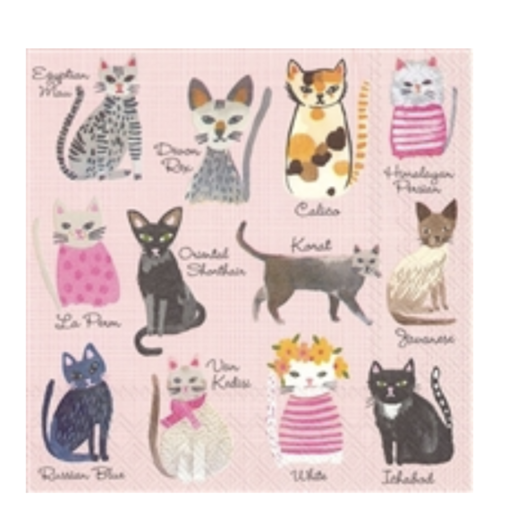 Boston International Cocktail Napkin, Cool Cats | Boston International